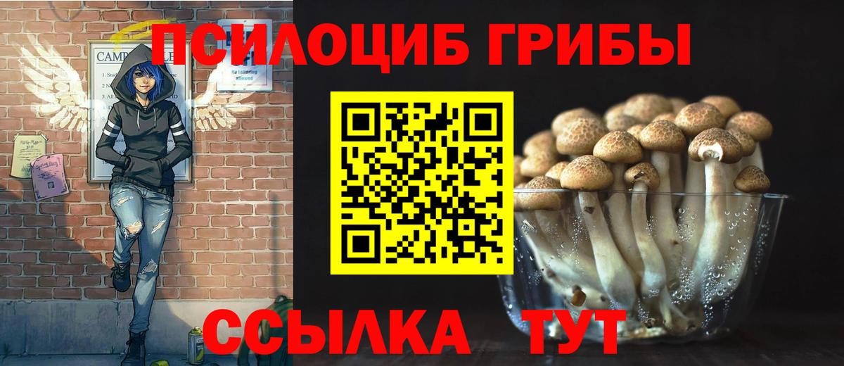 Галлюциногенные грибы Psilocybe Златоуст