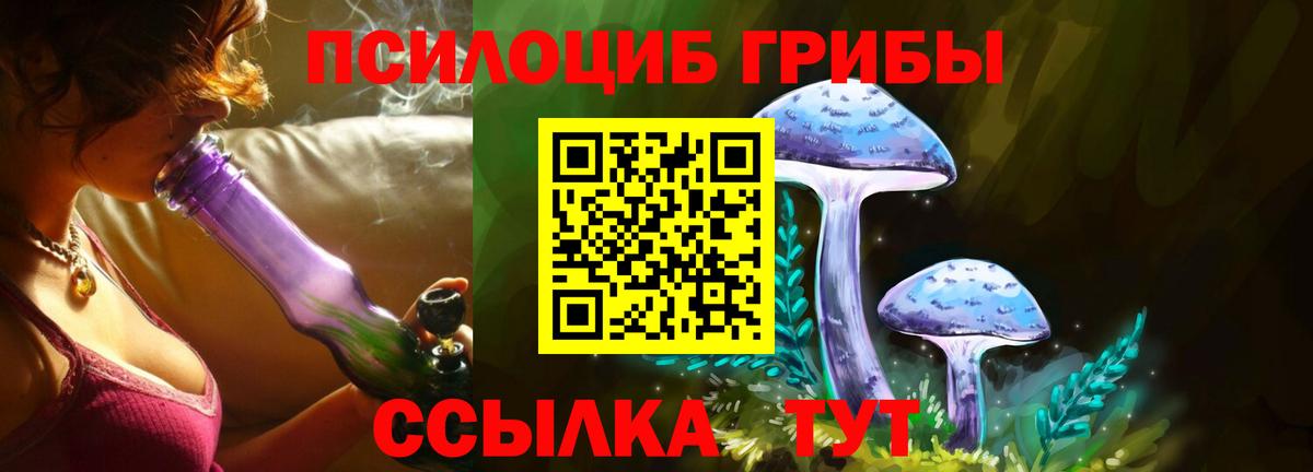 Златоуст  Псилоцибиновые грибы Cubensis  Вход с VPN  Галлюциногенные грибы Psilocybine cubensis 